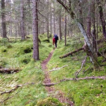 Østmarka nasjonalpark etablert