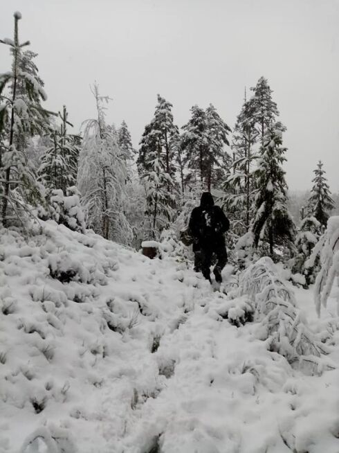 Liten respekt for vill natur blant norske politikere flest