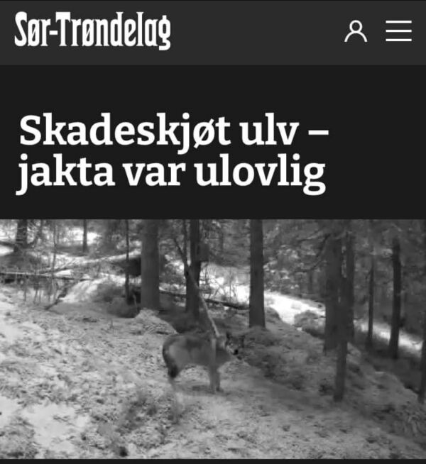 Funnet død etter 9 måneders jakt og skadeskyting