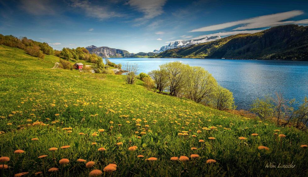 Førdefjorden, som Staten planlegger å ødelegge fullstendig
 Foto: Wim Lasche/Naturvernforbundet